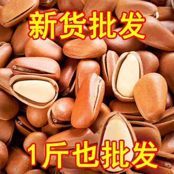 【大降价】新货东北松子特大颗粒罐装500g