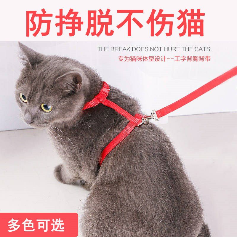 猫咪猫绳牵引绳颜色随机