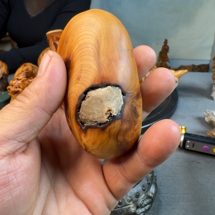 柏木（崖柏）太行崖柏