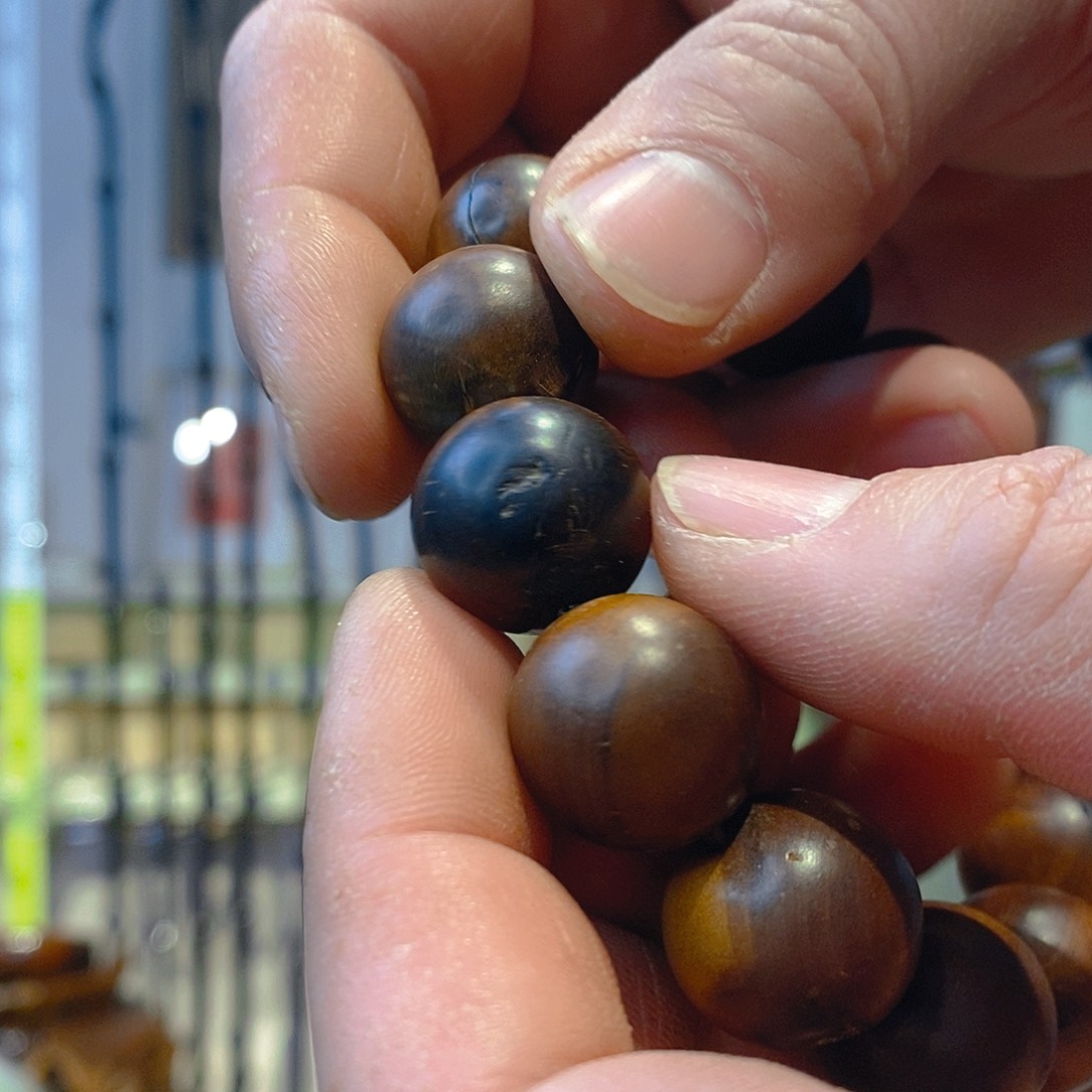 杂色豆（科檀/科特迪瓦檀木）