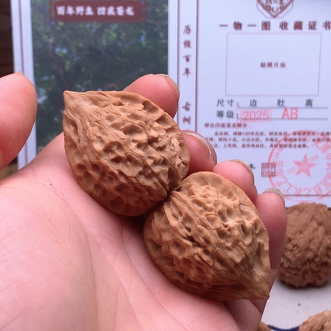 小***式桃核吊坠山地果天留山鸡心