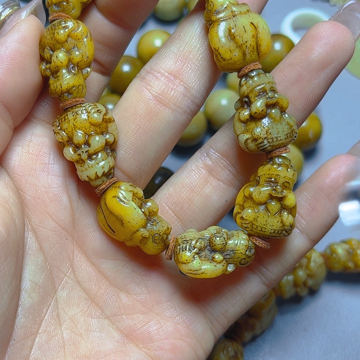 大果紫檀（缅甸花梨）