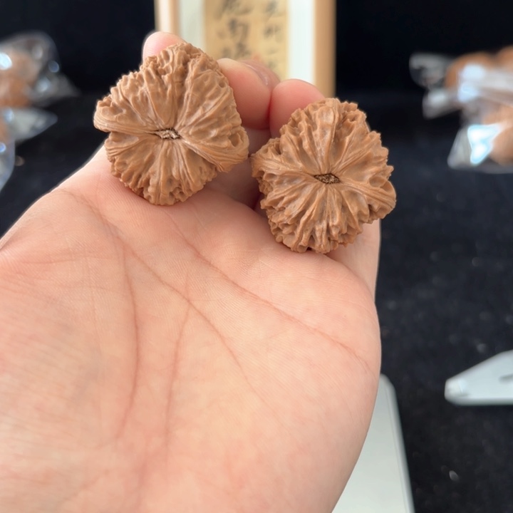 文玩核桃吊坠美*鱼南将 色差