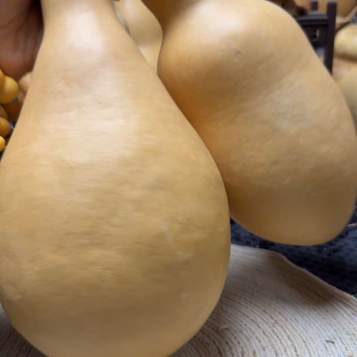 单***狗大葫芦一对嘎嘎漂亮