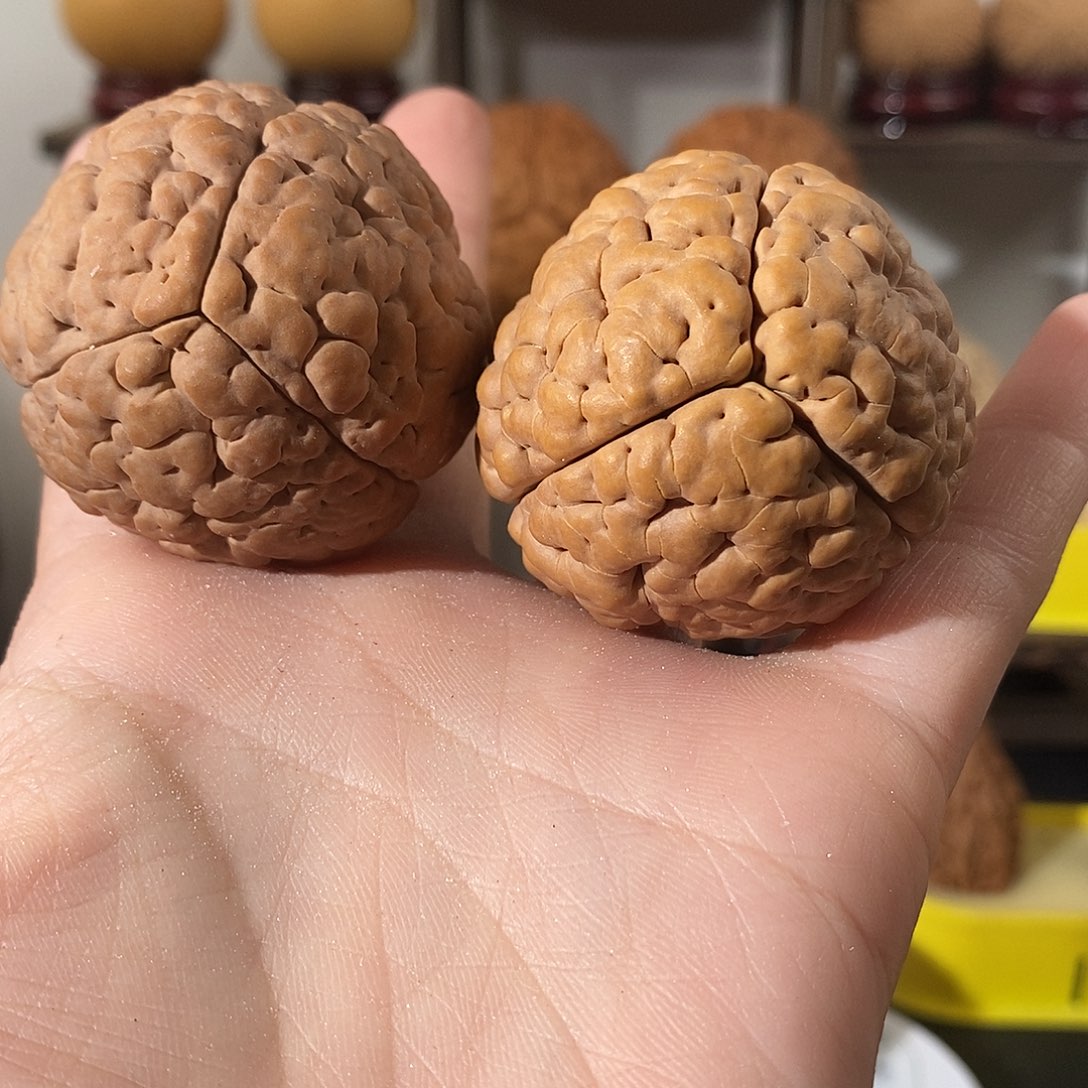 吊坠文玩核桃?*枫三瓣脑纹金刚练手色差4349