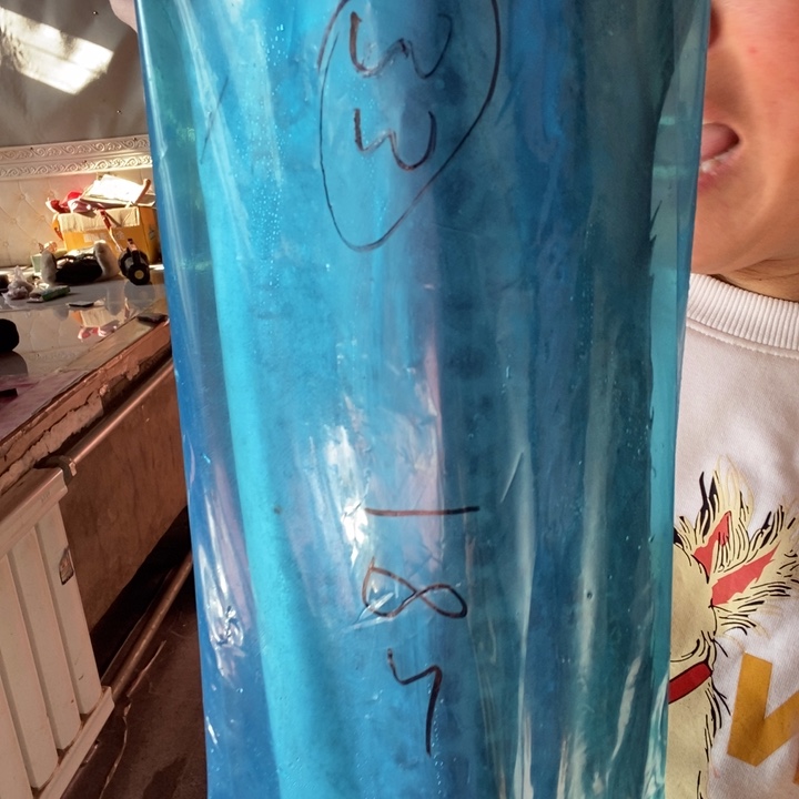 秋***蓉中国大陆渤海湾野生燕鲅鱼33号