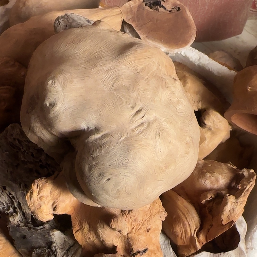 花***姐荔枝木孤品香炉毛料