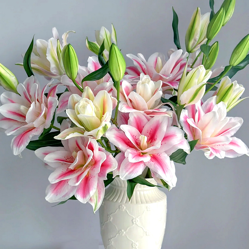 无品牌【火星之恋】重瓣百合装饰客厅摆件水养鲜切花送礼中秋节送礼