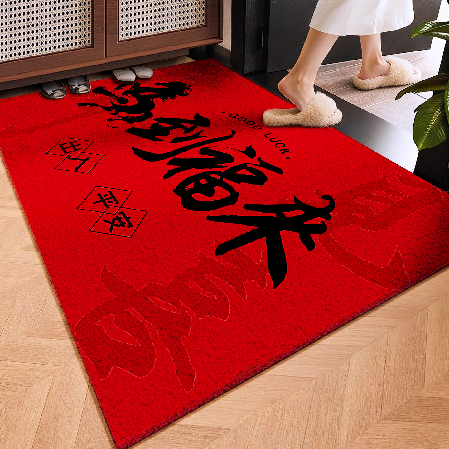 【丝圈】新年入户门地垫红色进门脚垫玄关家用乔迁喜庆除尘地毯