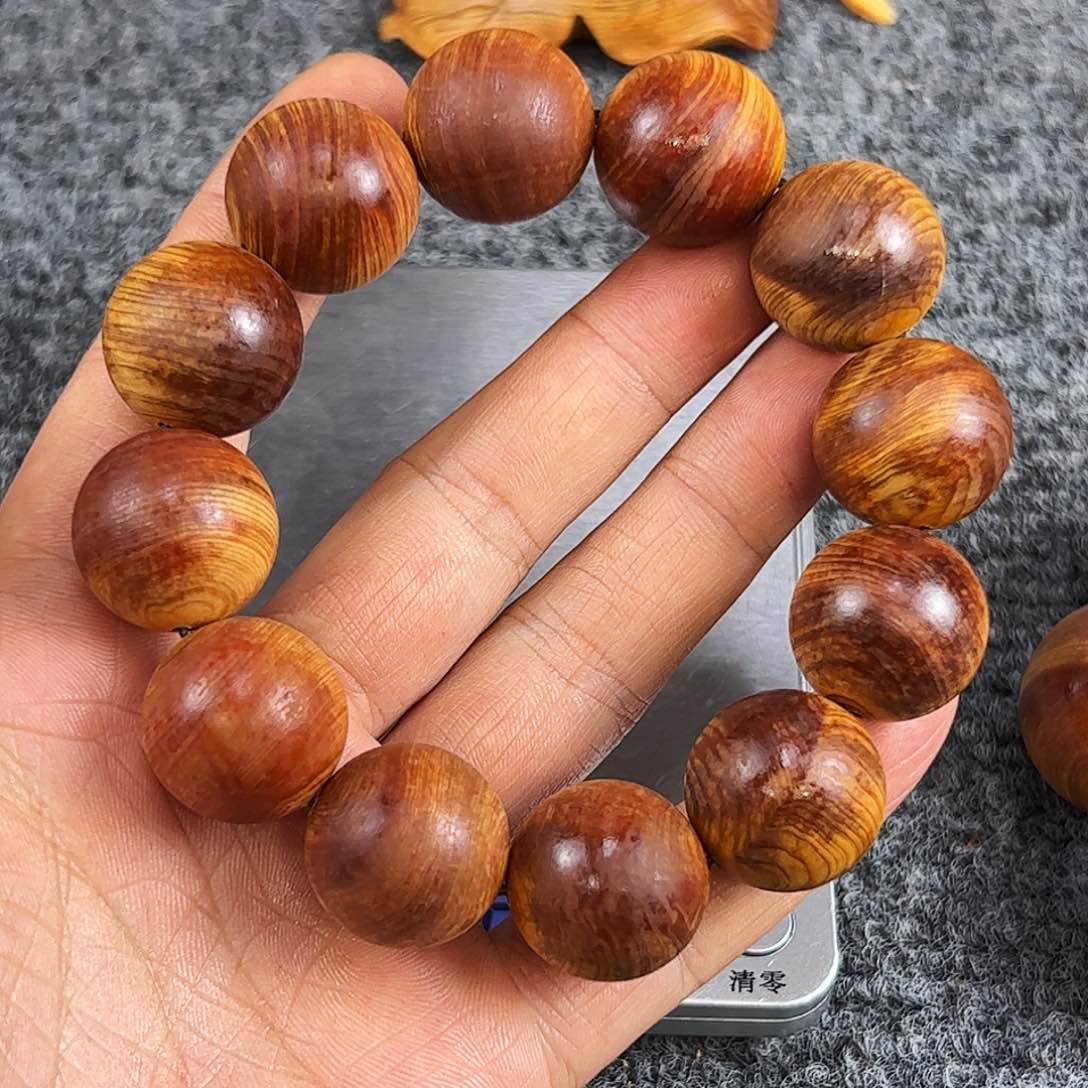 柏木20崖柏风云毛珠子