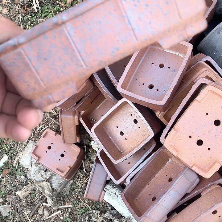 紫砂哈哈真的超级可爱哈哈哈