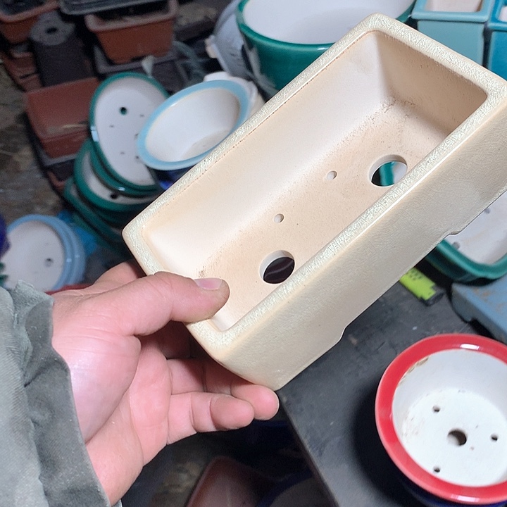 紫砂哈哈真的是太给力