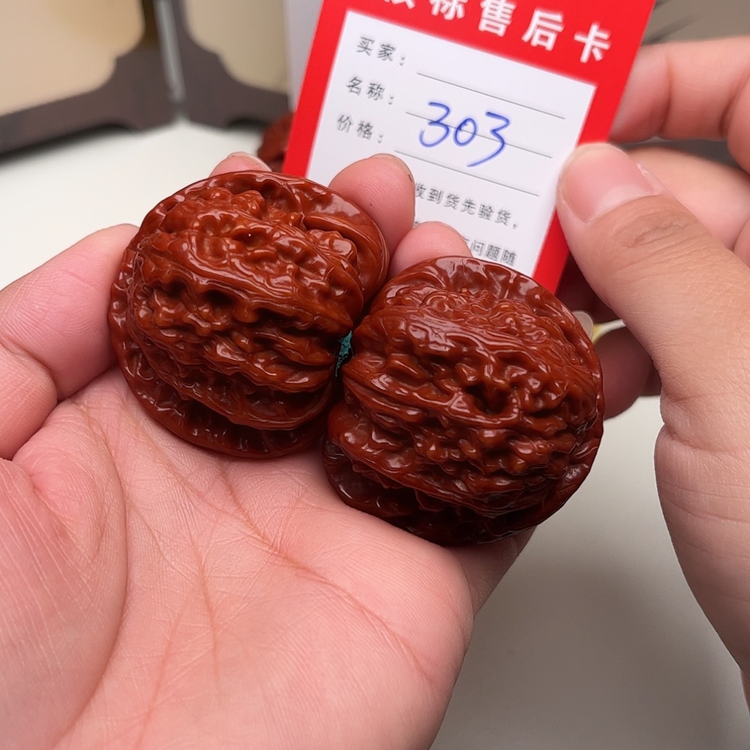 303。 42尺。 白狮子