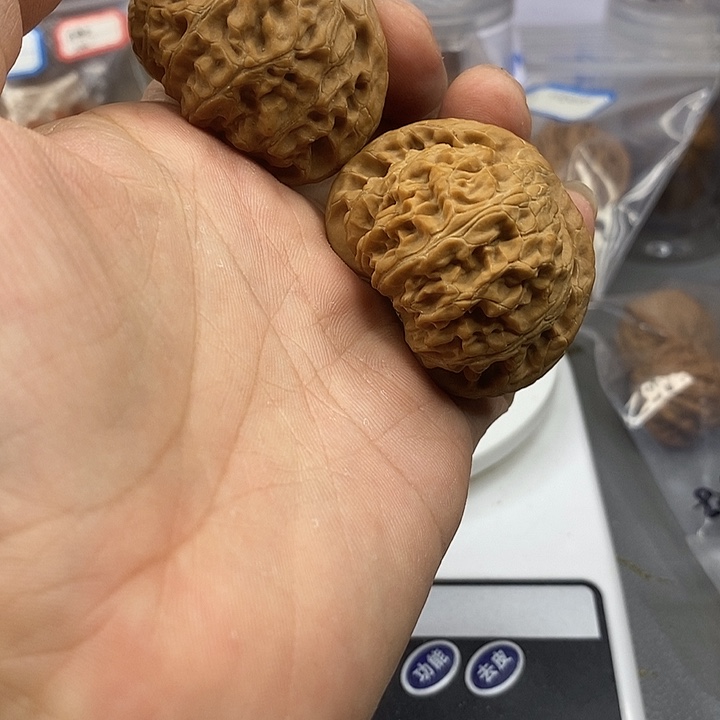 文玩核桃把件老大个宫灯