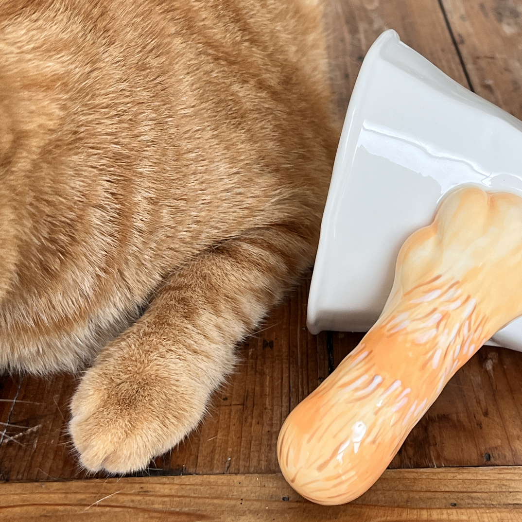 猫爪杯可爱陶瓷水杯陈二沟景德镇原创