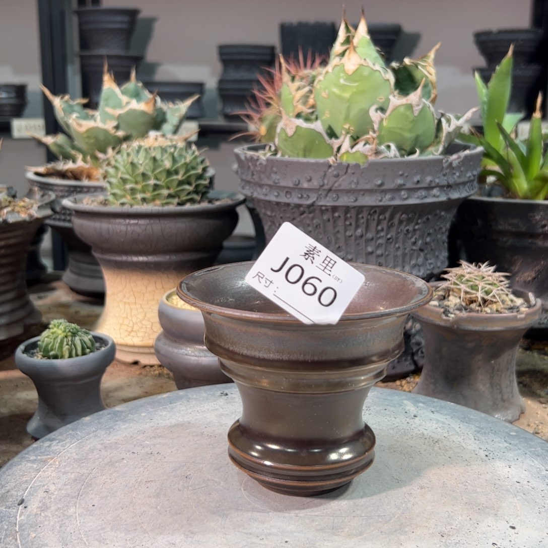 景德镇手工素里内口11.5高9.5