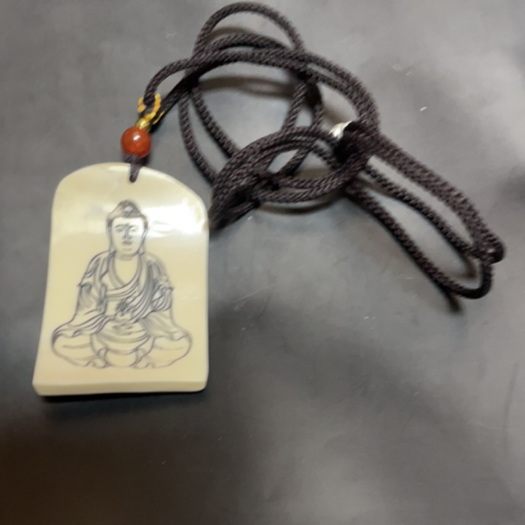 猛犸猛犸约10.3克，YJT969