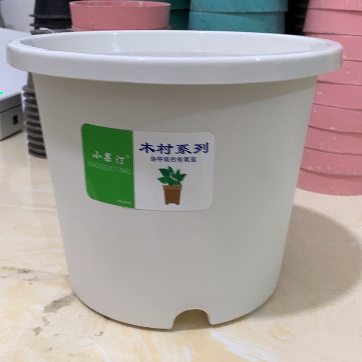 小果汀20.5口白10个无托