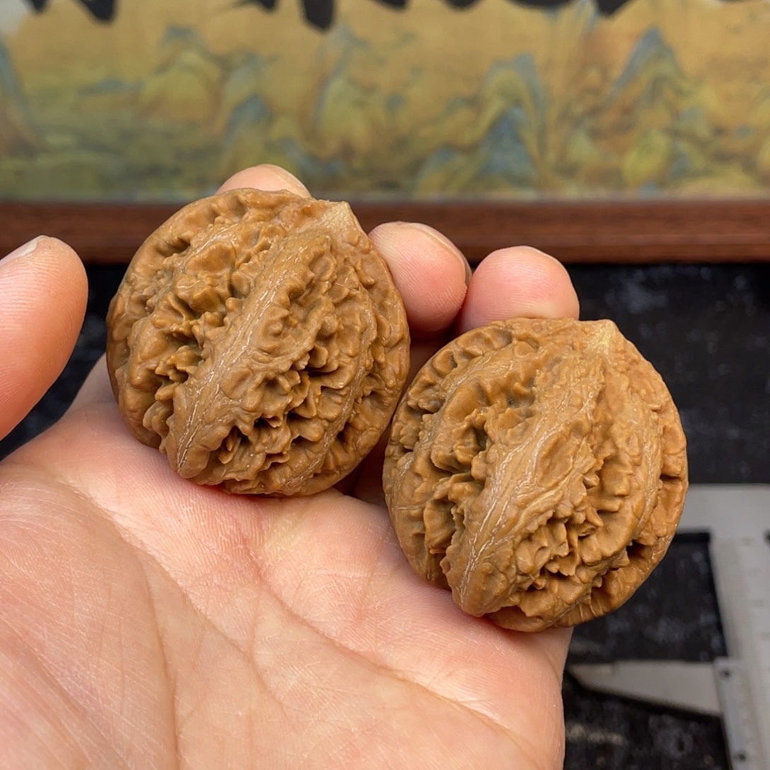 核桃4号链接44444