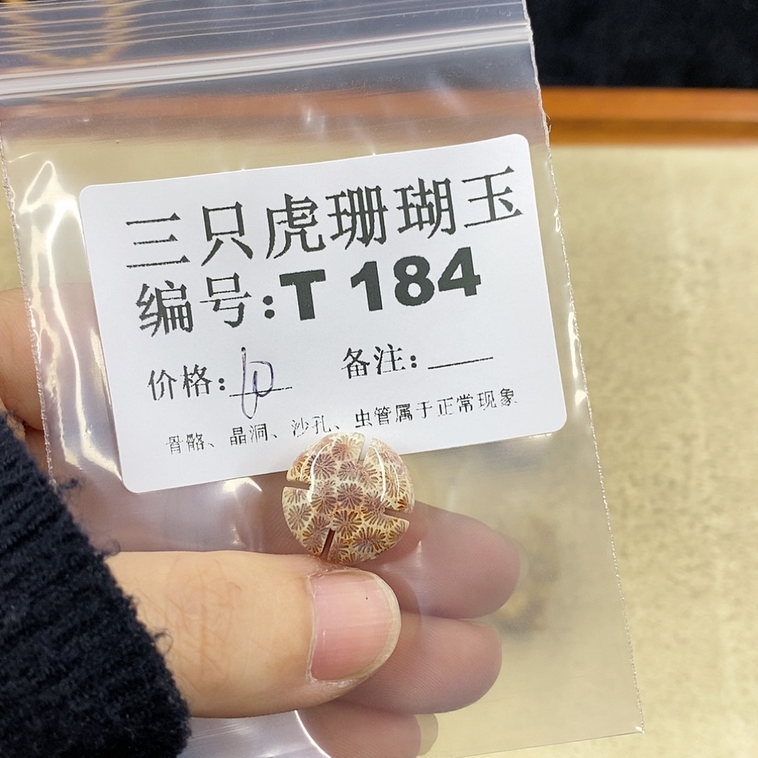 硅化珊瑚（珊瑚玉）1未镶嵌白***烁