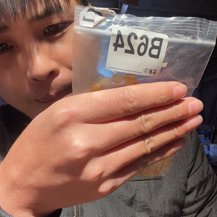 大果紫檀（缅甸花梨）624