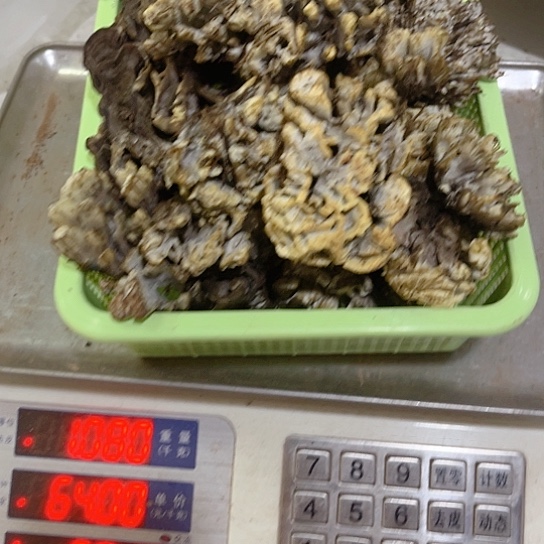 鸡纵超好吃中国大陆