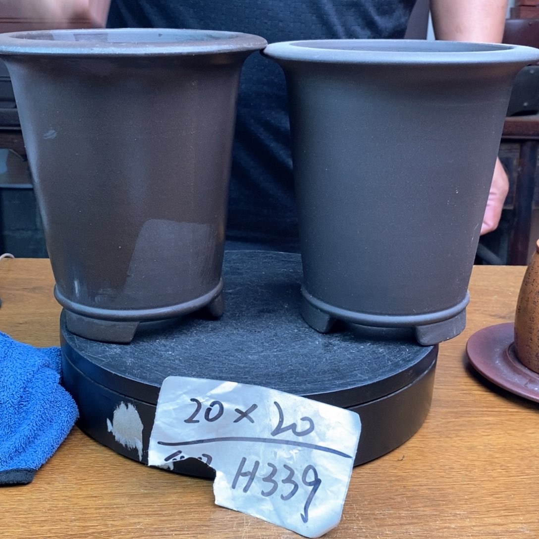 紫砂货号一只H339