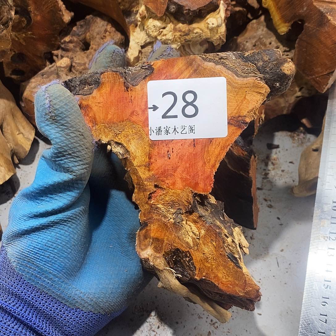 香榧木尼****欢火琉璃……火琉璃