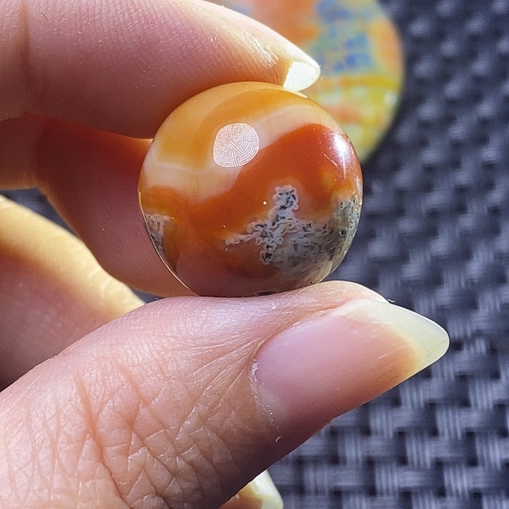 你***贝玛瑙/玉髓未镶嵌颈饰