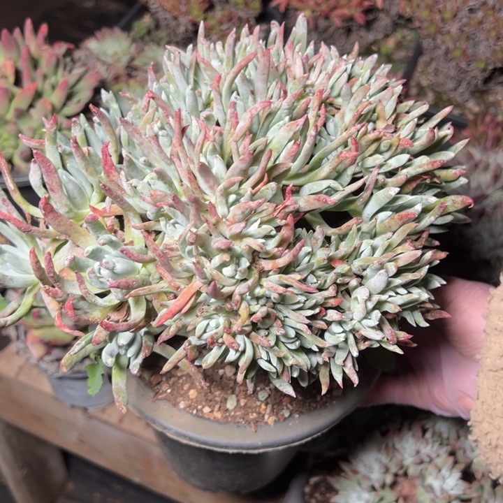 916，哈哈哈哈哈哈哈哈哈