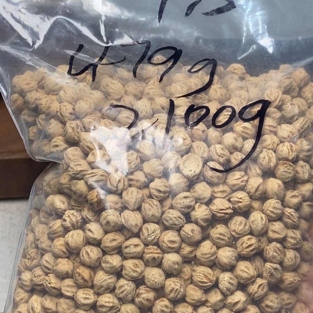 柏香籽/百香籽吊坠