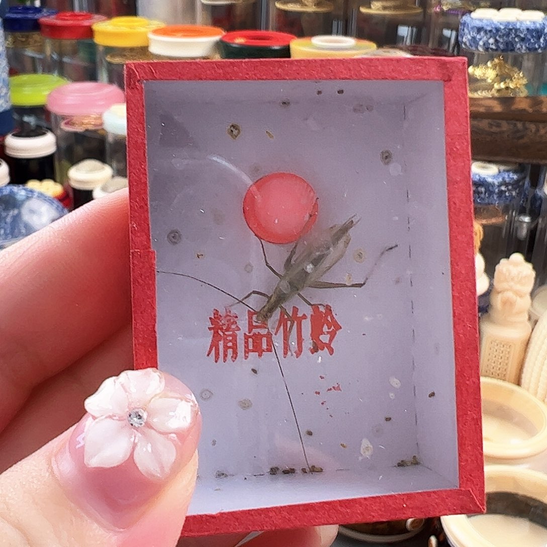 哈哈哈哈哈天水两个
