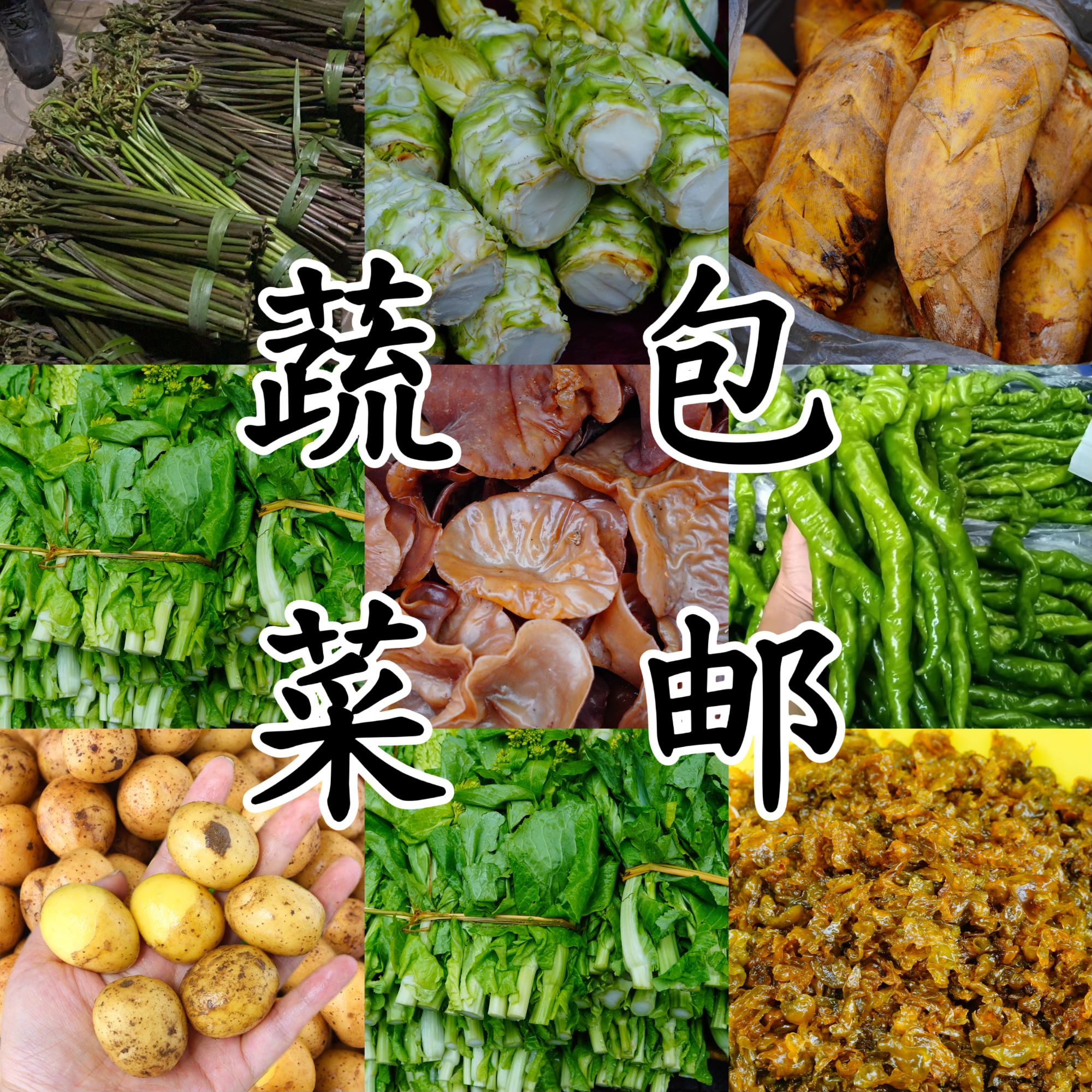 【湖南·芷江】赶集蔬菜代购包邮