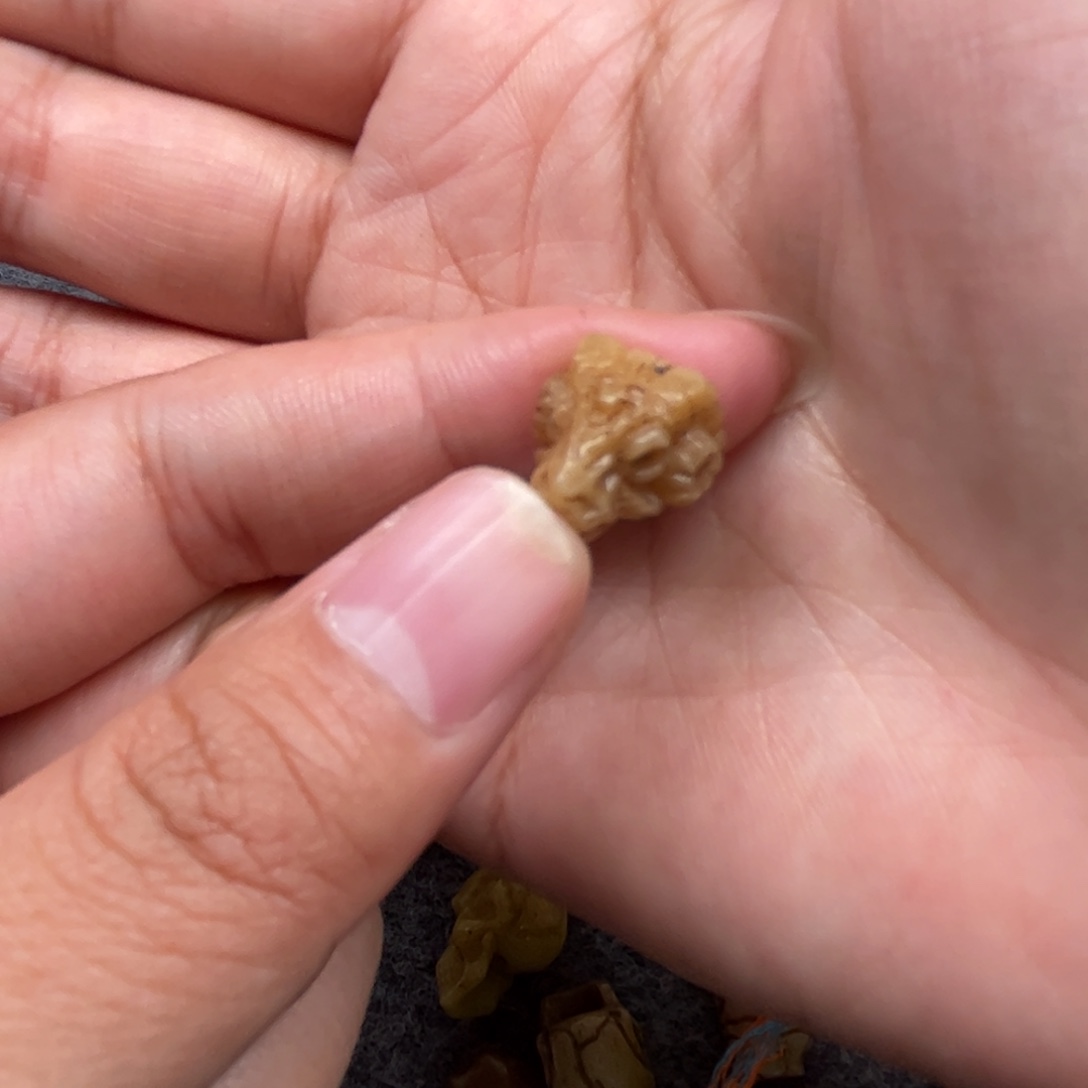 手串/手链鹿骨人工养殖驼骨47
