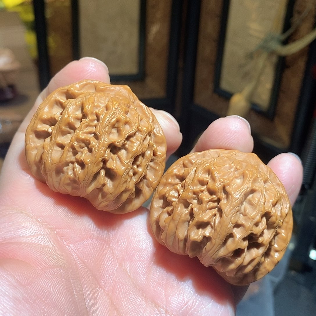 文玩核桃把件46龙脉元宝全品