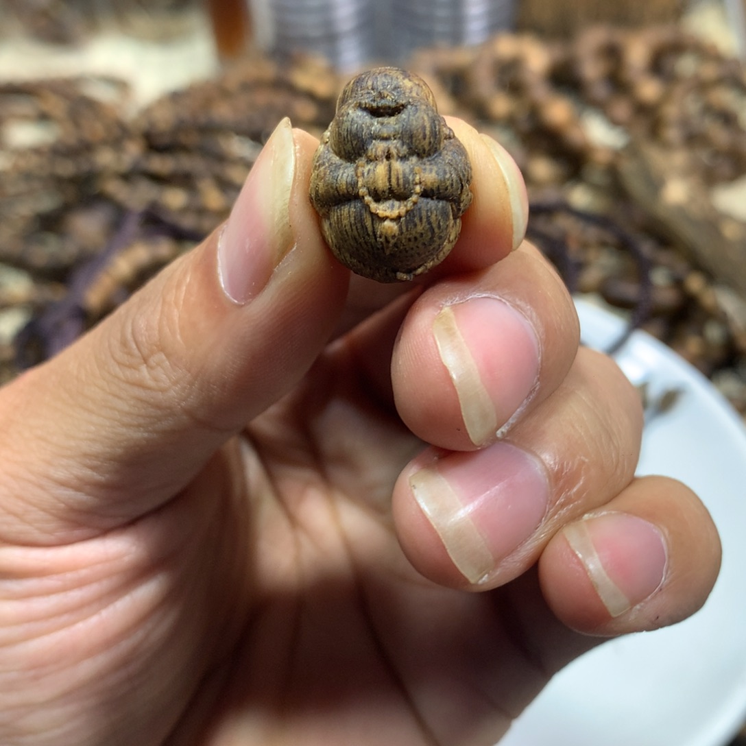 燕****沉香沉香碎屑佛宝宝