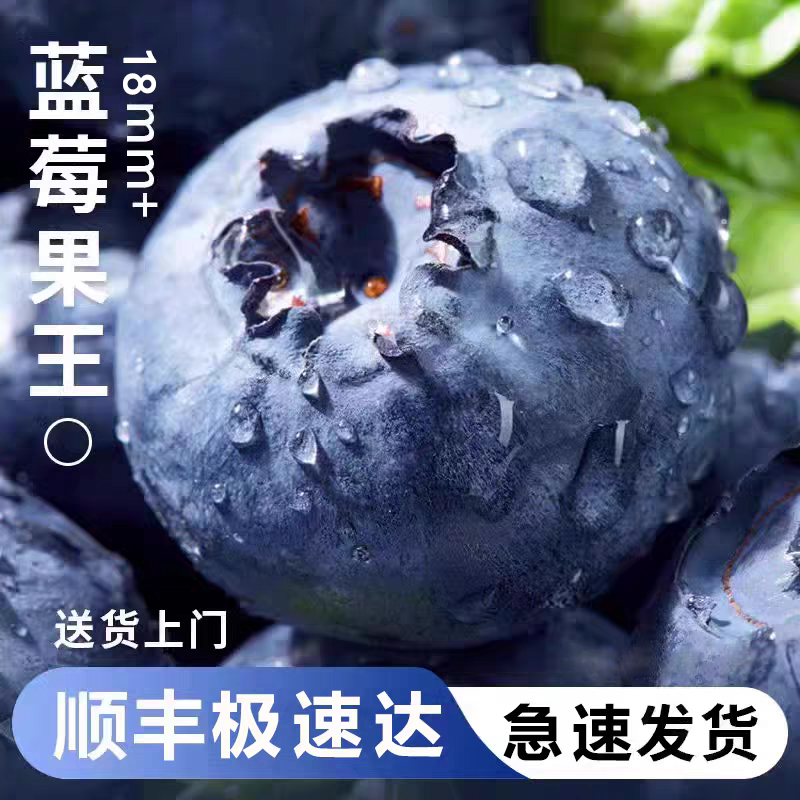 【顺丰包邮】云南蓝莓18+当季新鲜脆甜爆汁125g4盒起 