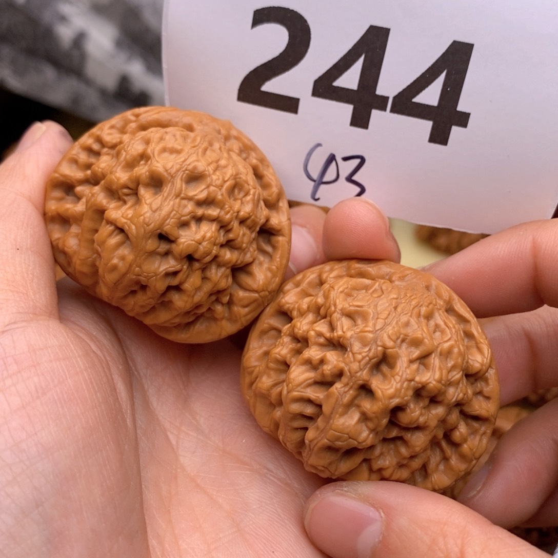 文玩核桃把件244号43金公子
