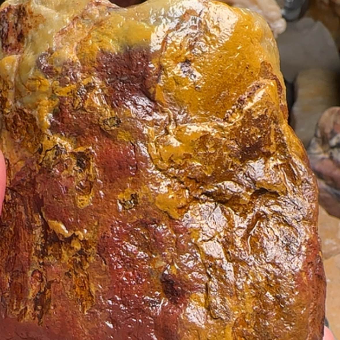 【闪购商品】田黄石哈****押昌化田黄原石