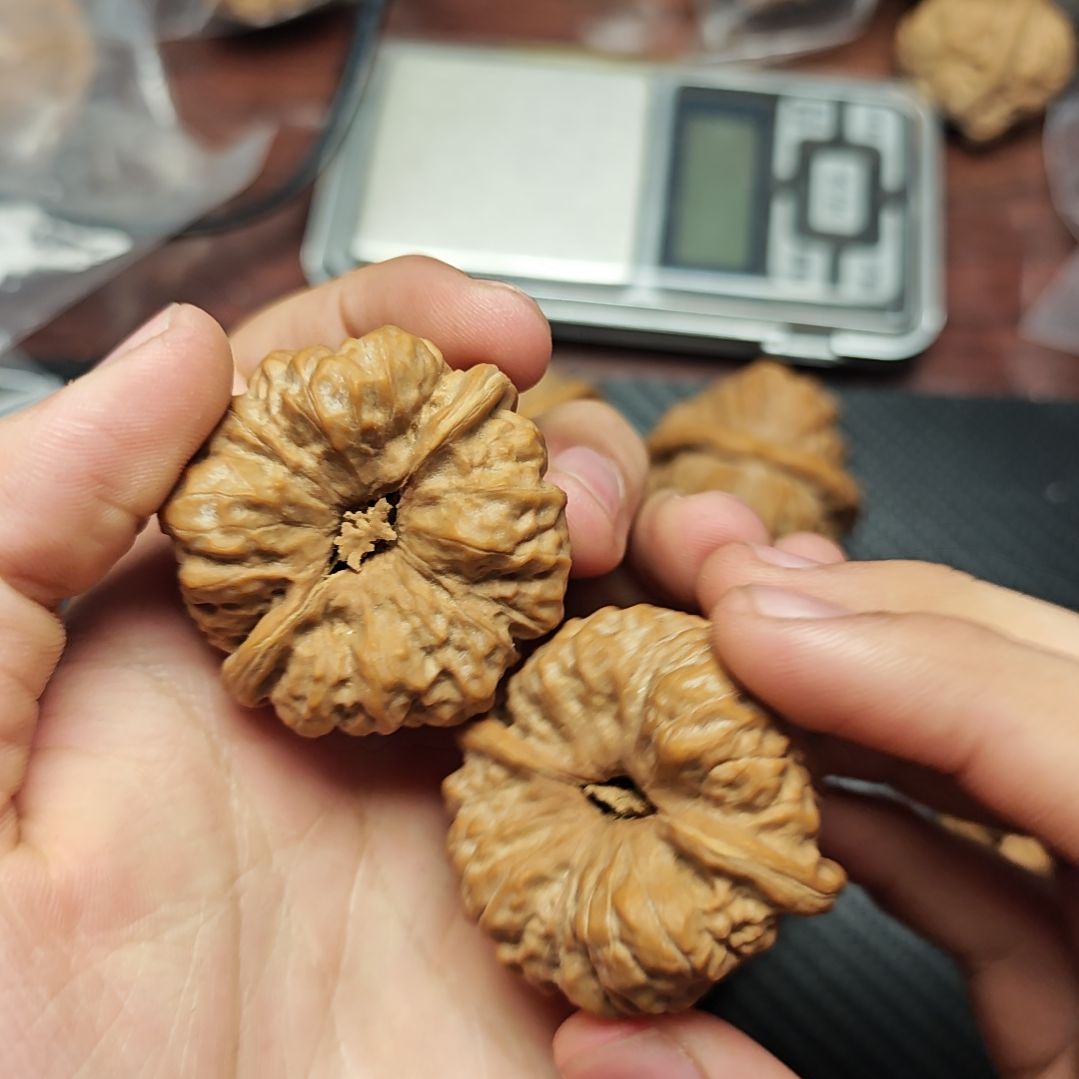 快***球蛤蟆蛤蟆蛤蟆蛤蟆