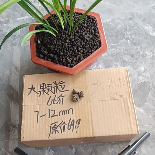 番***薯兰菌黑山土大颗粒6.6斤