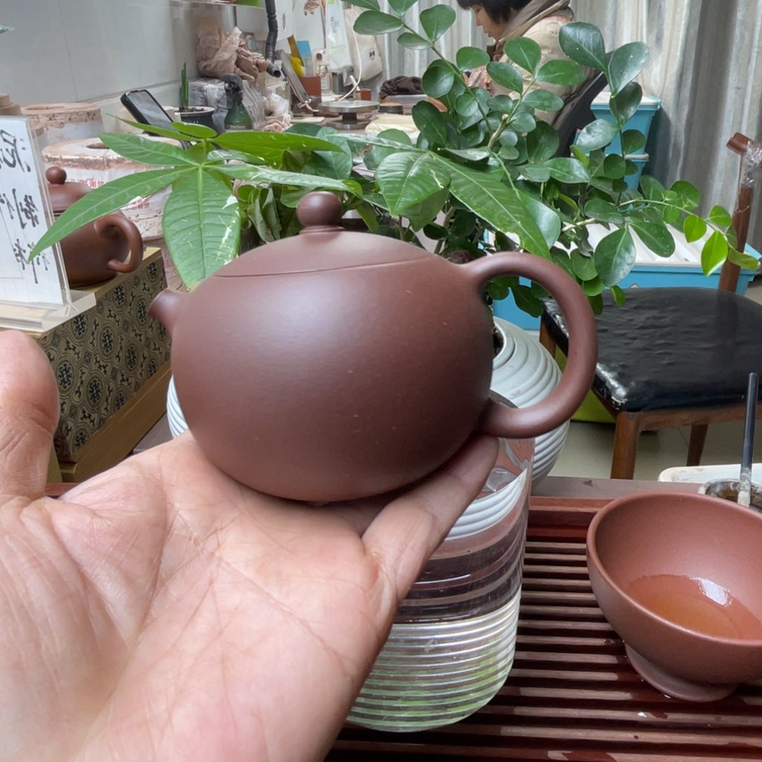 罗***）紫砂茶壶西施一个