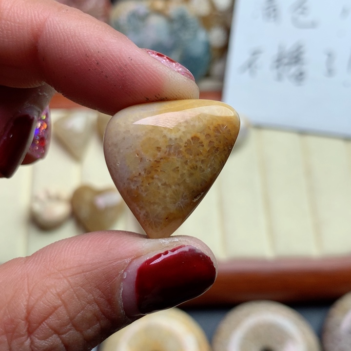 硅化珊瑚（珊瑚玉）颈饰未镶嵌