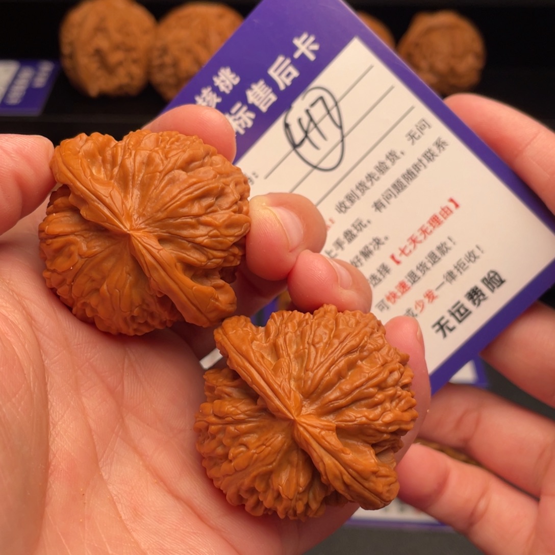 文玩核桃把件白狮子43