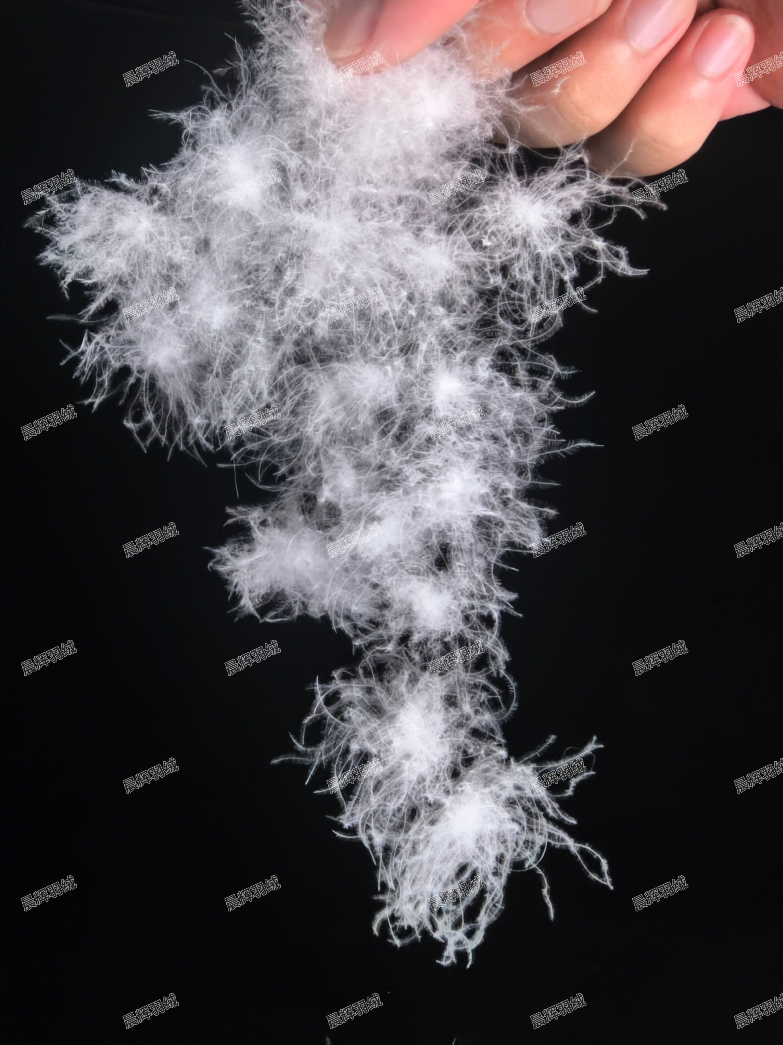 散装羽绒清水大朵95白鸭绒充绒羽绒被羽绒服羽绒枕高蓬填充物