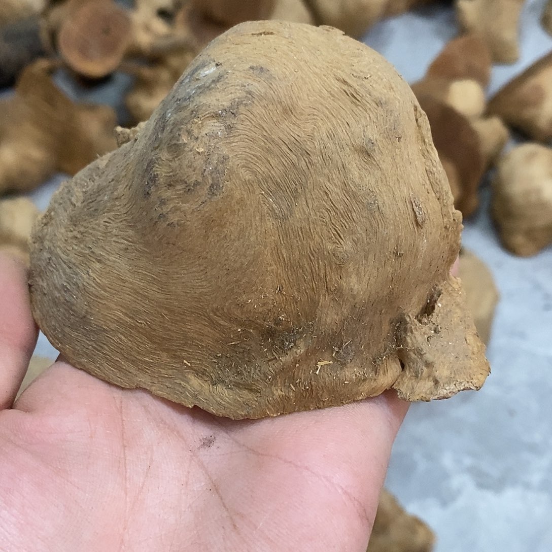 忘***）荔枝木荔枝木原料