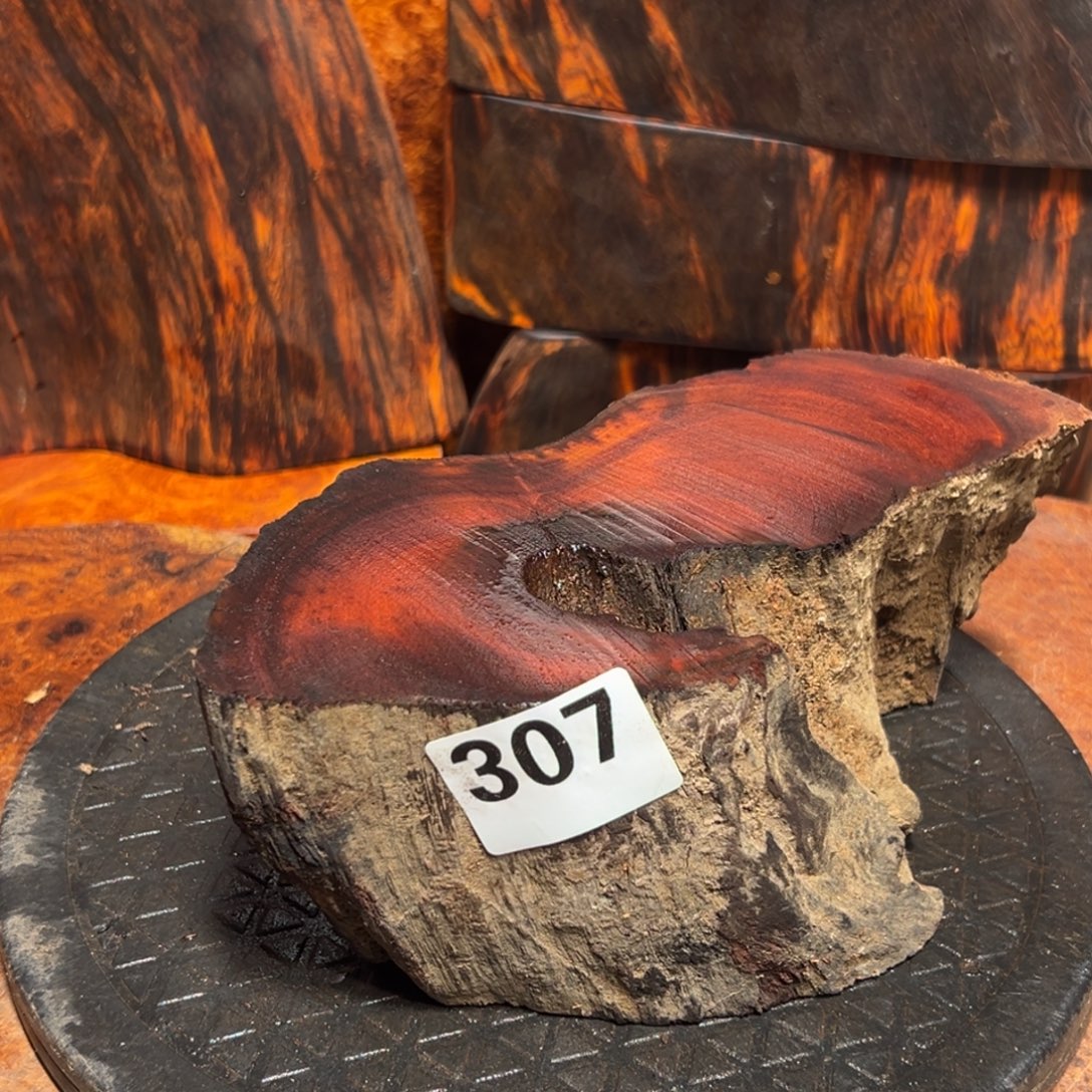 游***V大果紫檀（缅甸花梨）