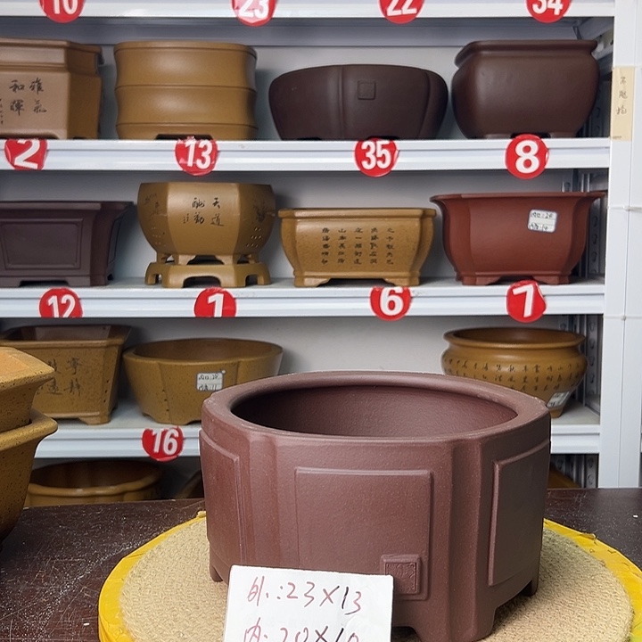 紫砂花盆蛇年大吉