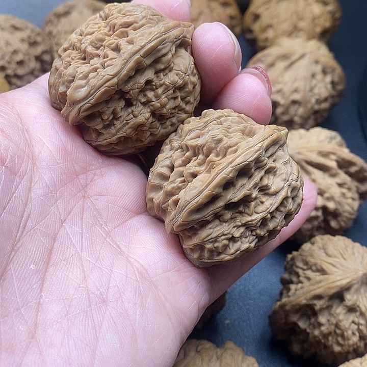 龙脊菩提吊坠大蒜38加水尖