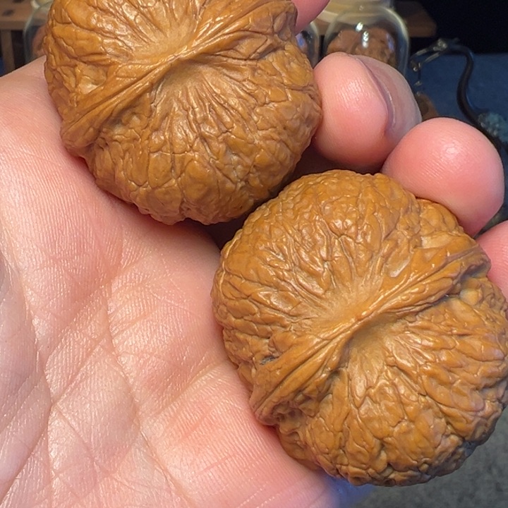 文玩核桃把件南瓜墩41.5mm